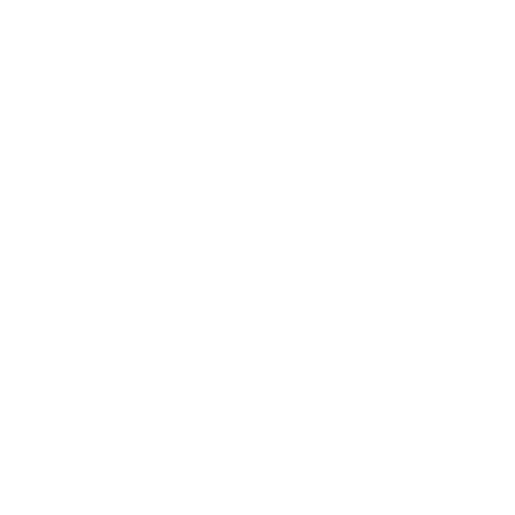 E1